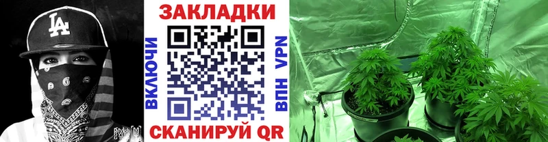 Купить закладку Брянск Бошки Шишки  Альфа ПВП  ГАШИШ  Меф мяу мяу  COCAIN 