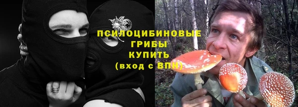 амф Бронницы